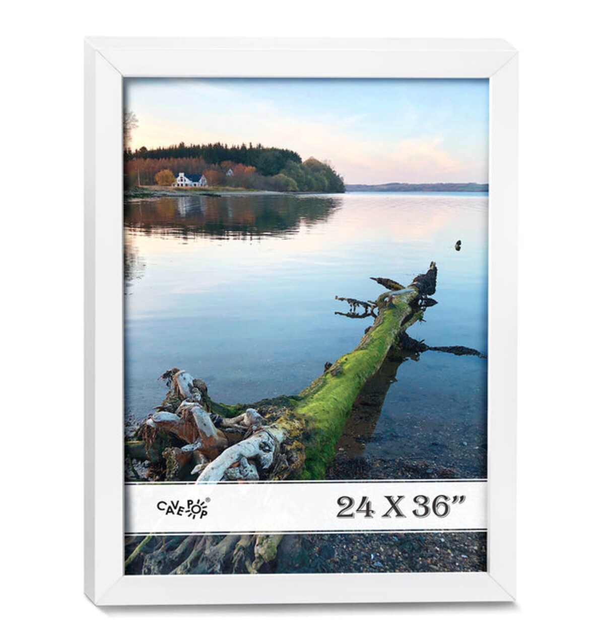 24x36 White Wood Picture Frame with Polished Plexiglass